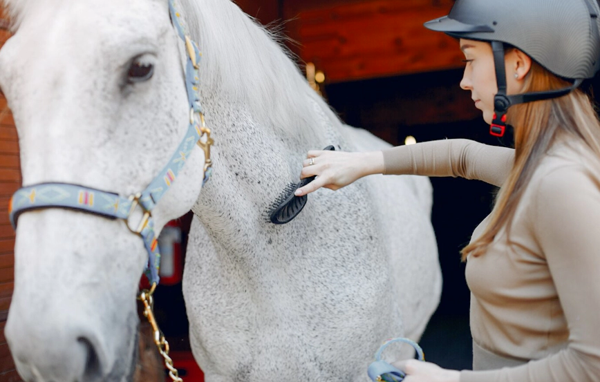 Four-Footed Fashion & Preparation: Preparing your horse for an equine photo session